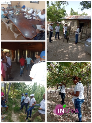 Tecnificaci&oacute;n Nacional de Riego y el INUVA realizan levantamiento de campo al sector vin&iacute;cola en Bahoruco.
