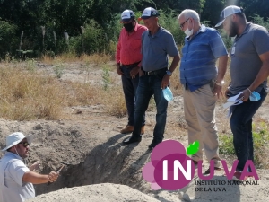 Levantamiento y reconocimiento de suelo con condiciones para el desarrollo de la vid en Rep&uacute;blica Dominicana.