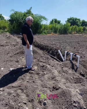 Supervisi&oacute;n a instalaci&oacute;n de sistema de riego por goteo.
